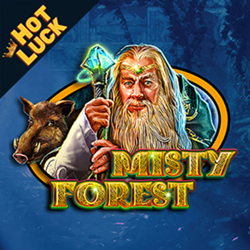 Misty Forest