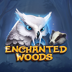 Enchanted Woods